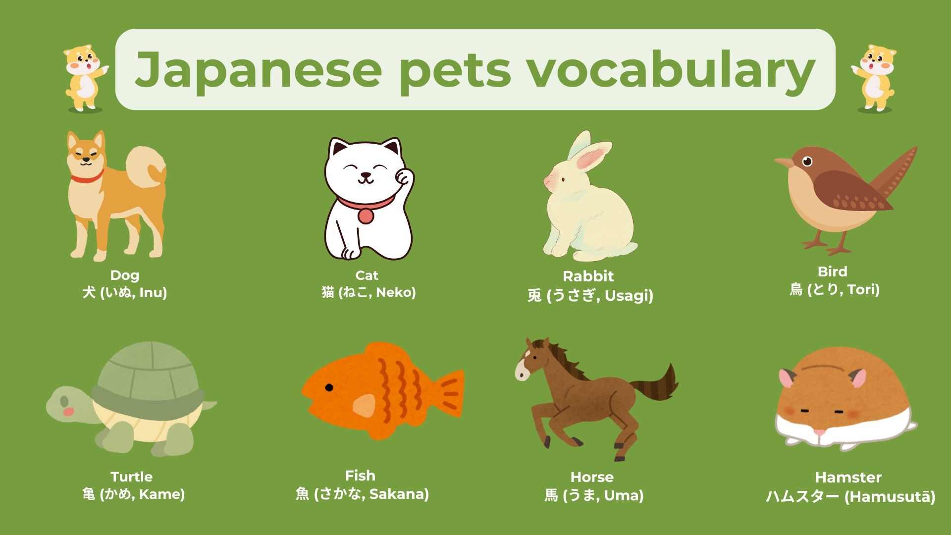 Japanese pets vocabulary list - Japanese animals vocabulary